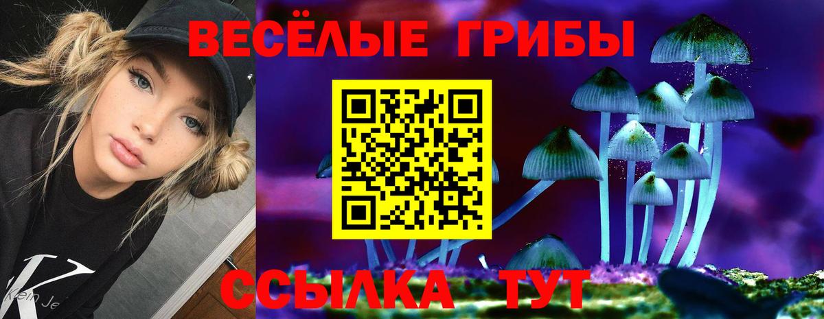 Ялта  Псилоцибиновые грибы Psilocybe  Вход с VPN 